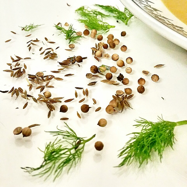 Épices douces, graines de fenouil, de cumin et de coriandre – Copyright © Gratinez