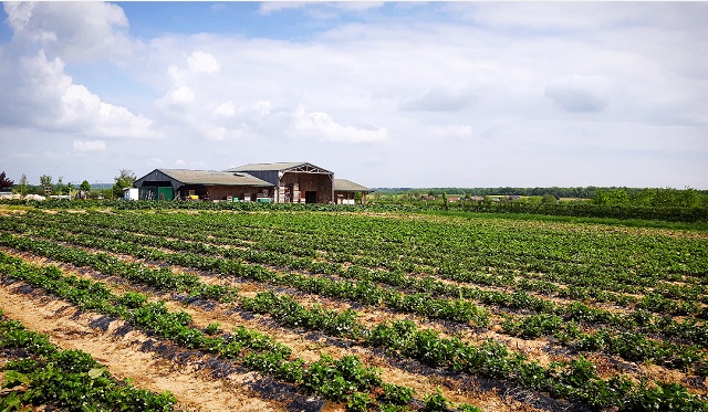 La Ferme du Logis (78) – Copyright © Gratinez