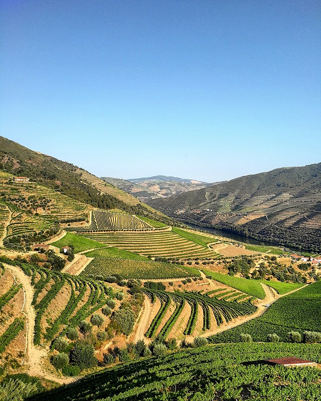 La vallée du Douro, vue depuis la Quinta da Grincha, maison de Churchill's – Copyright © Gratinez