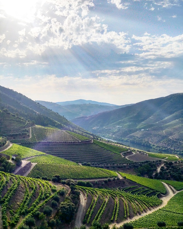 La vallée du Douro, vue depuis la Quinta da Gricha, maison Churchill's – Copyright © Gratinez