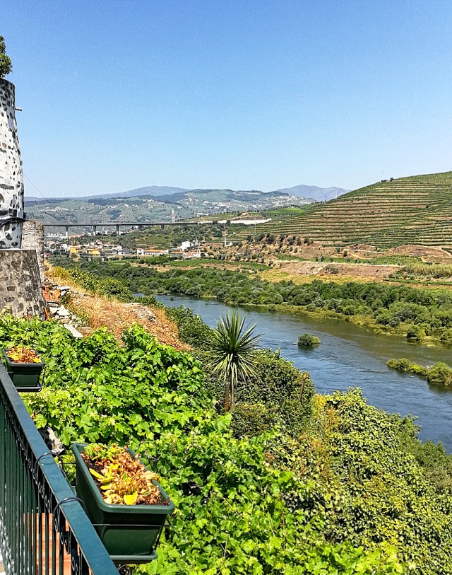 Le fleuve du Douro, depuis la Quinta de Marrocos – Copyright © Gratinez